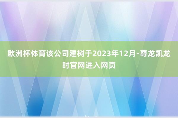 欧洲杯体育该公司建树于2023年12月-尊龙凯龙时官网进入网页