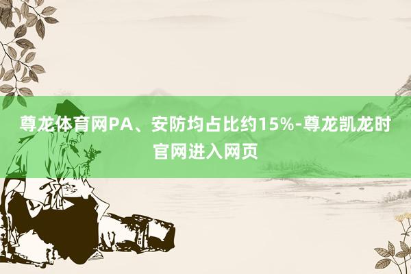尊龙体育网PA、安防均占比约15%-尊龙凯龙时官网进入网页