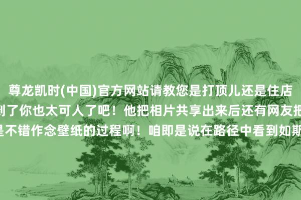 尊龙凯时(中国)官方网站请教您是打顶儿还是住店？”网友一下就被它调整到了你也太可人了吧！他把相片共享出来后还有网友把画面措置了你们望望这是不错作念壁纸的过程啊！咱即是说在路径中看到如斯有爱的狗狗果真很加分宇宙上莫得狗狗何如能行啊！by小红书@jshsk  发布于：广东省-尊龙凯龙时官网进入网页