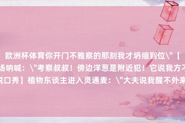 欧洲杯体育你开门不雅察的那刻我才坍缩到位