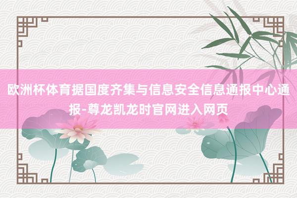欧洲杯体育据国度齐集与信息安全信息通报中心通报-尊龙凯龙时官网进入网页