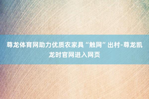 尊龙体育网助力优质农家具“触网”出村-尊龙凯龙时官网进入网页